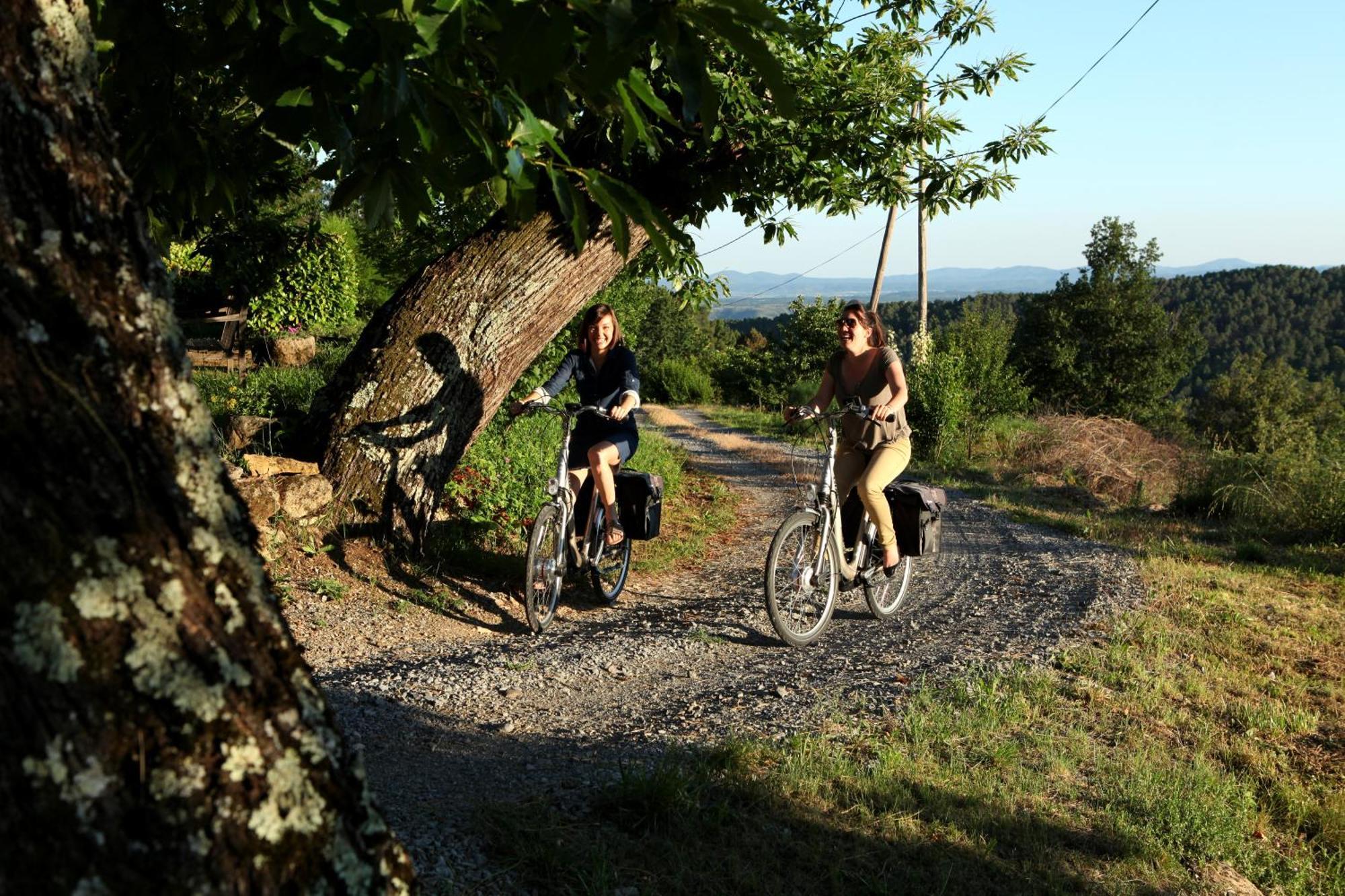 Auberge De La Tour De Brison Sanilhac  Buitenkant foto